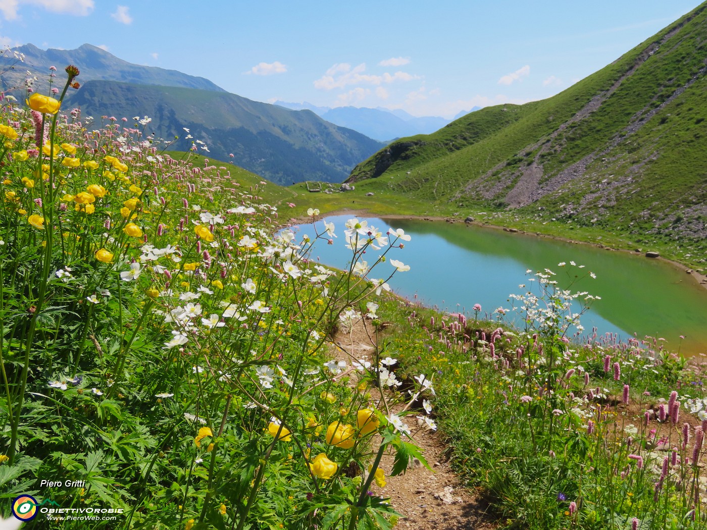 42 Distese di fiori dai fianchi della montagna alle rive del lago.JPG